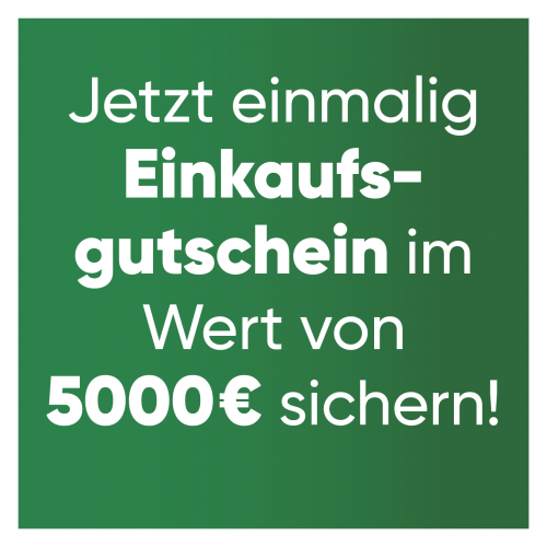Hensel NEU FB 24 08 19